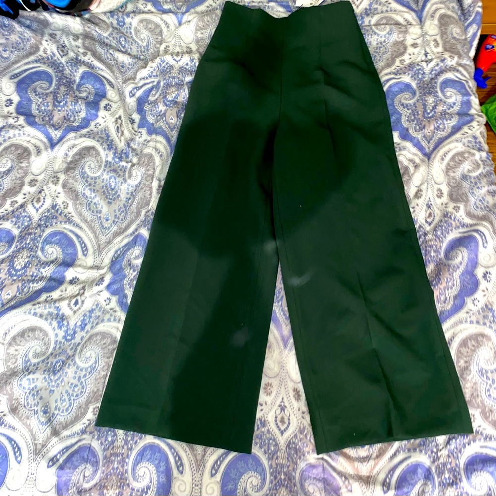 Zara pants